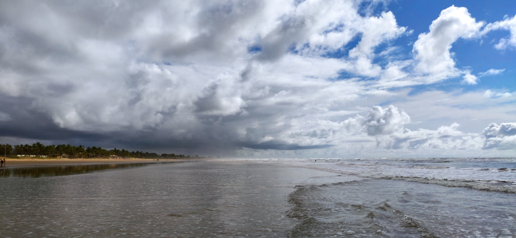 Fonte: Google Business