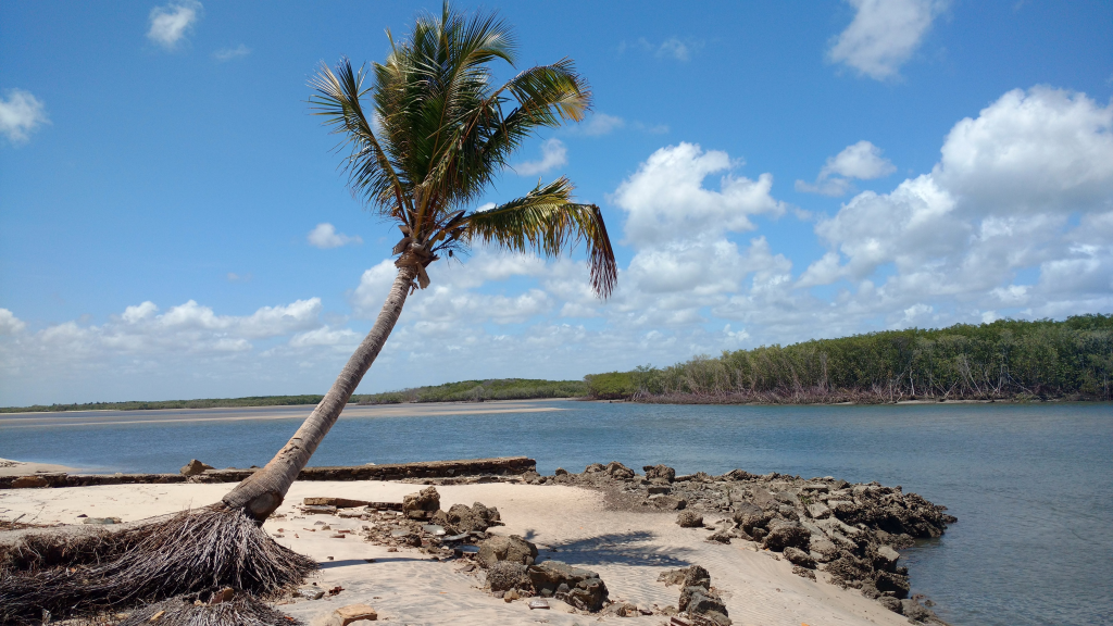 Fonte: Google Business