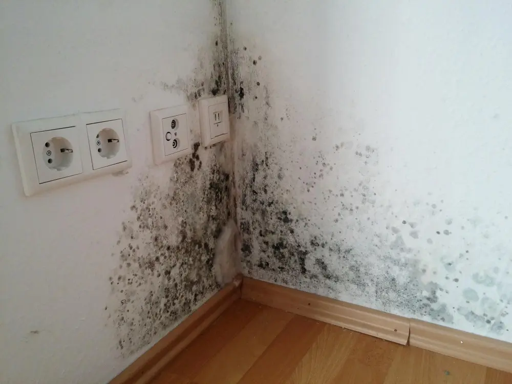 Cuidados com a umidade em casas de praia