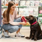 Guardeaju - Mercado Pet em Aracaju: o crescimento que está escondendo prejuízos